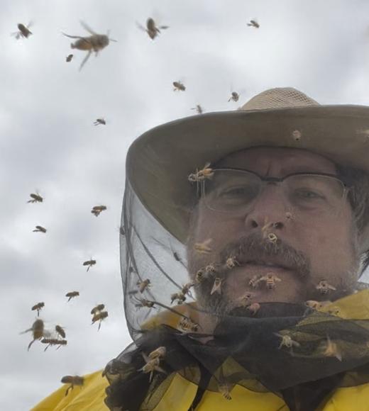 Matt Hoepfinger in the Bees