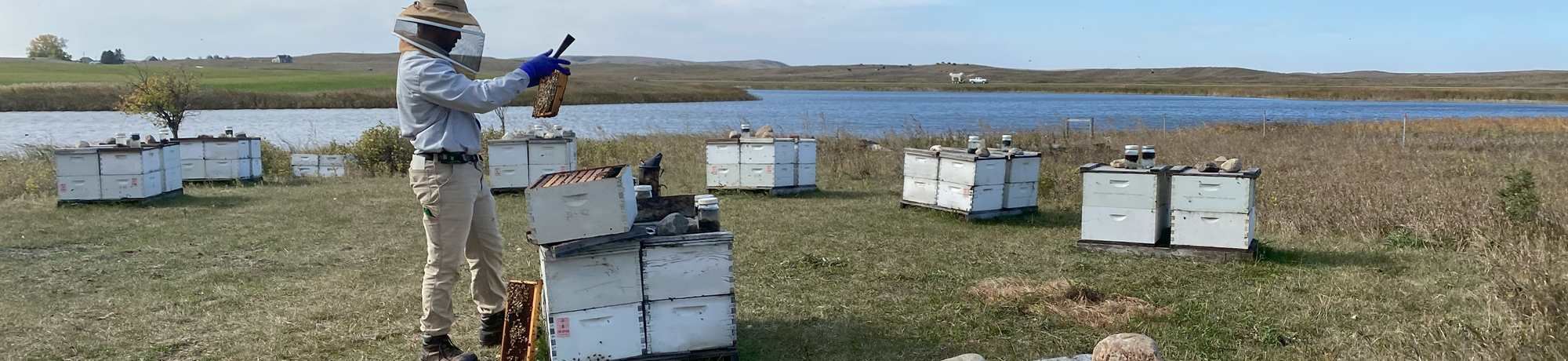 Inspecting Hives near a Lake