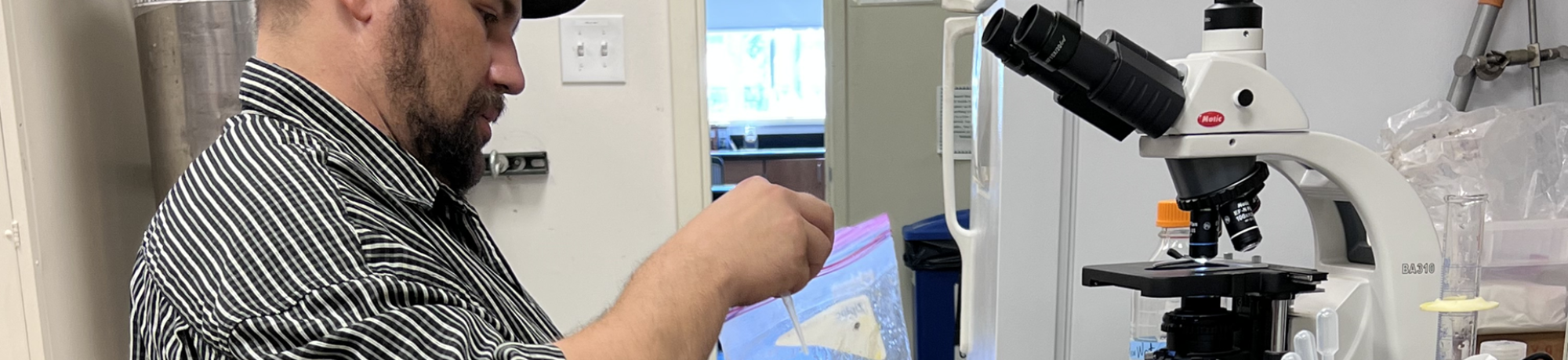 Processing Nosema Samples in the Lab
